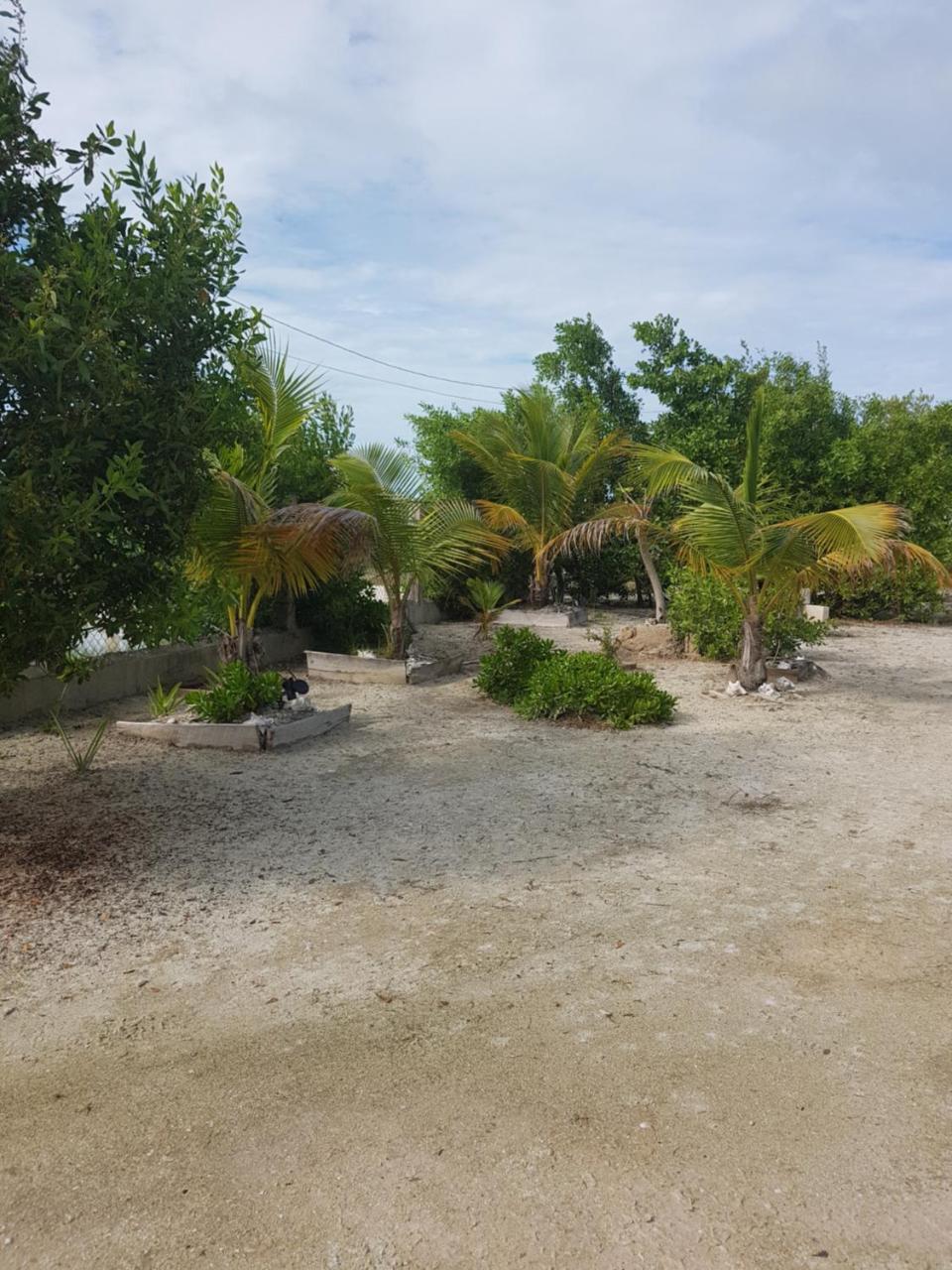 Trellis House Apartment Caye Caulker Exterior foto